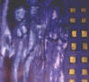 13th Floor